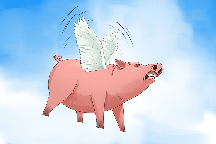 To stay in the air, the pig put in a lot of force, and his (epiglottis) wings flap as hard as they can
